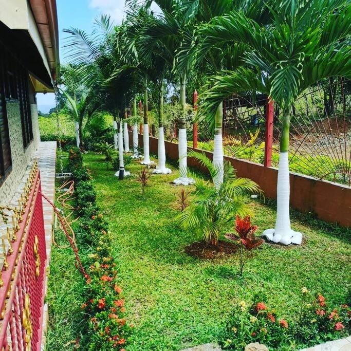 Oropéndola Rain Forest