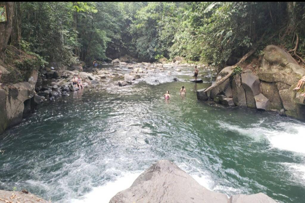 Oropéndola Rain Forest