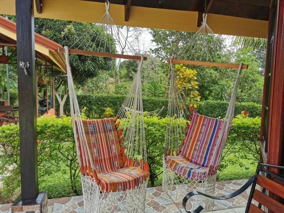 Oropéndola Rain Forest
