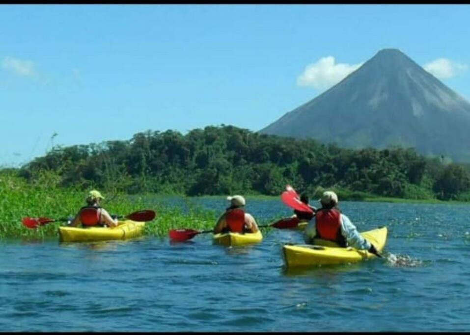 Oropéndola Rain Forest