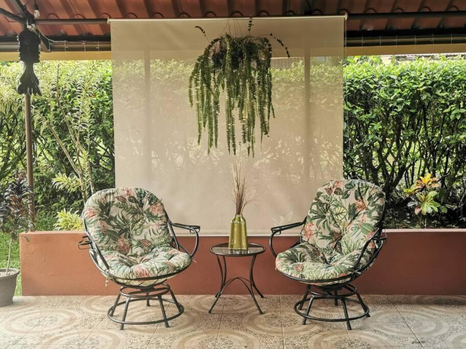 Oropéndola Rain Forest