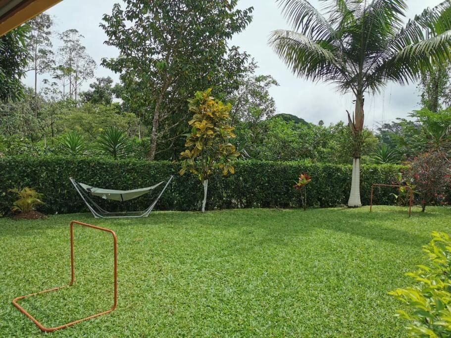 Oropéndola Rain Forest