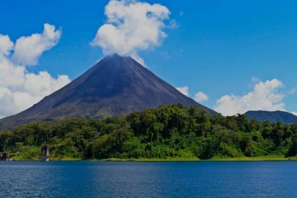 Oropéndola Rain Forest