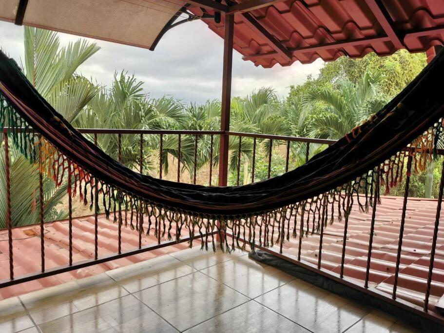Oropéndola Rain Forest