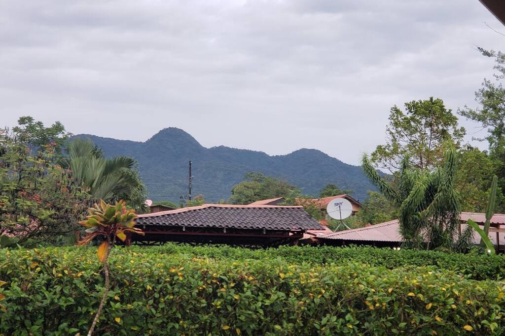 Oropéndola Rain Forest