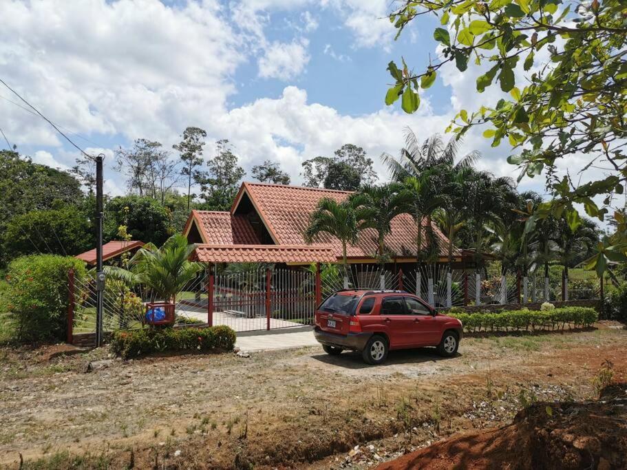 Oropéndola Rain Forest
