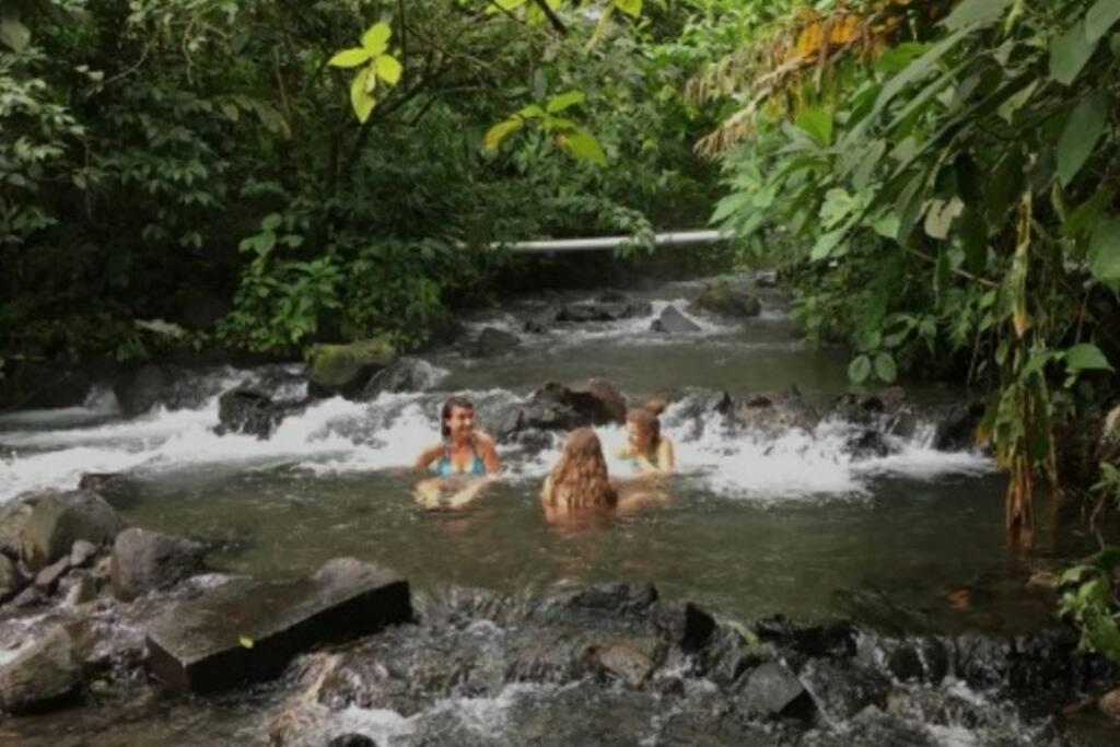 Oropéndola Rain Forest