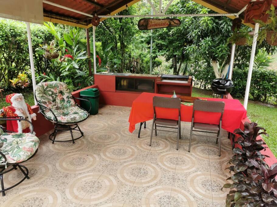 Oropéndola Rain Forest