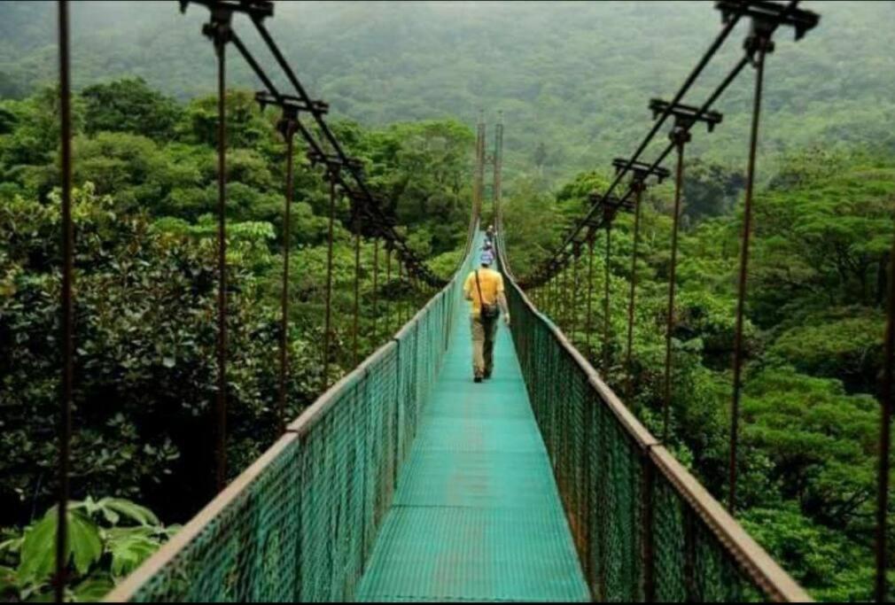 Oropéndola Rain Forest