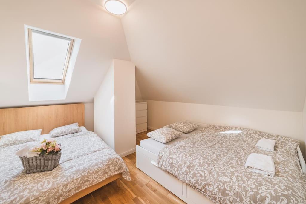 Grand Loft Apartment 110m2