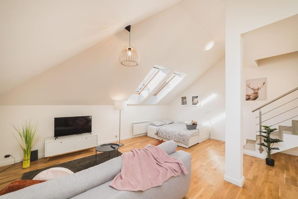 Grand Loft Apartment 110m2