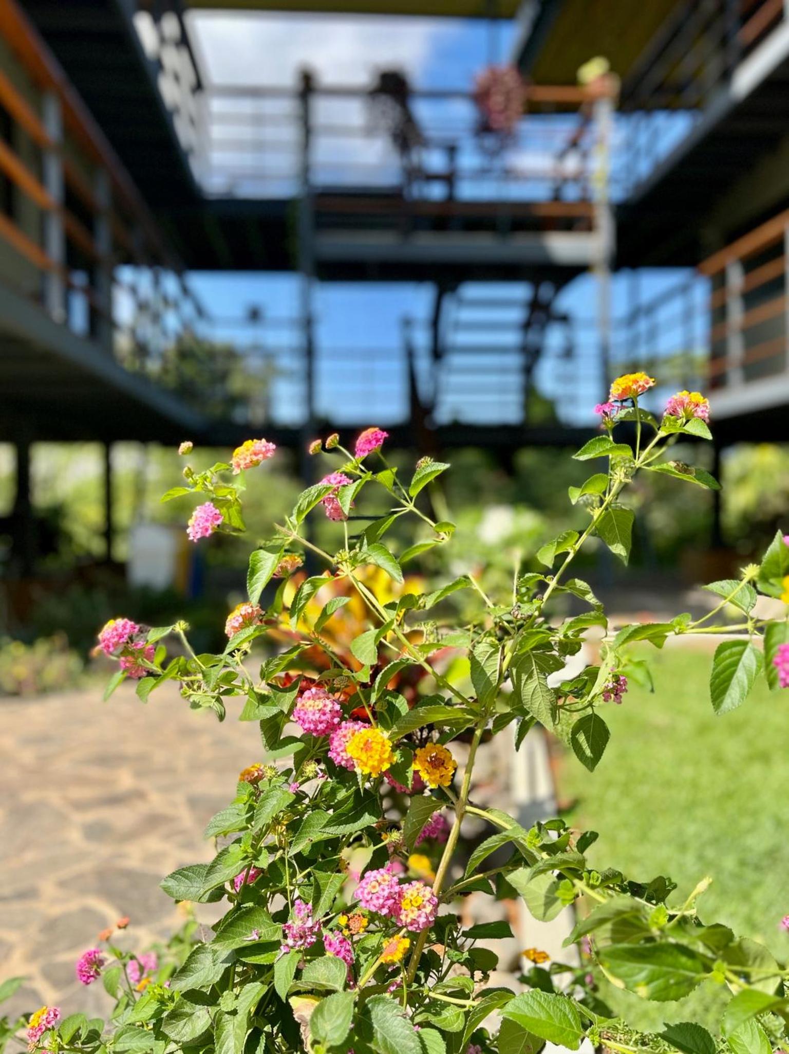 Southern Drake Lodge