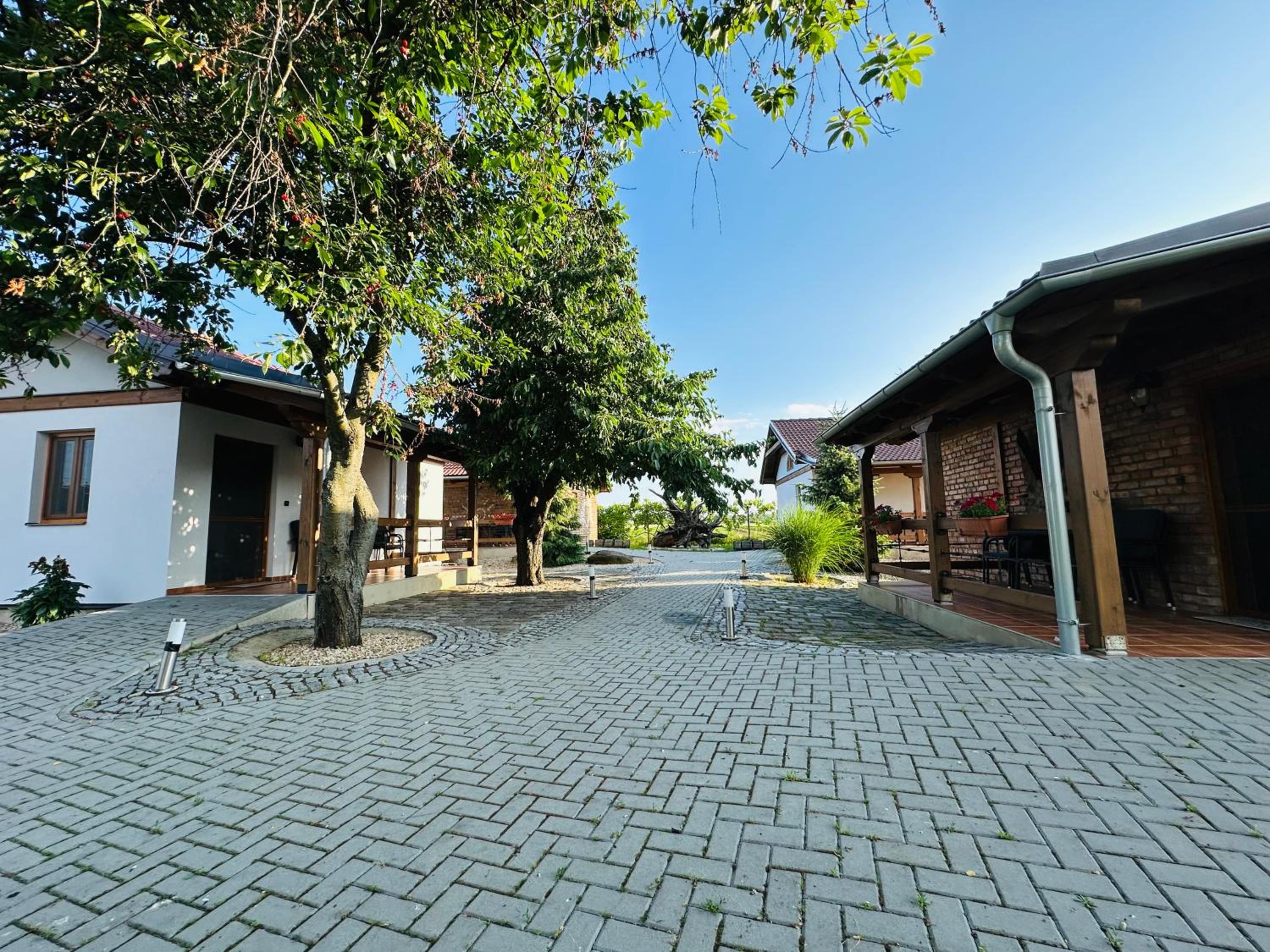 Photo 40