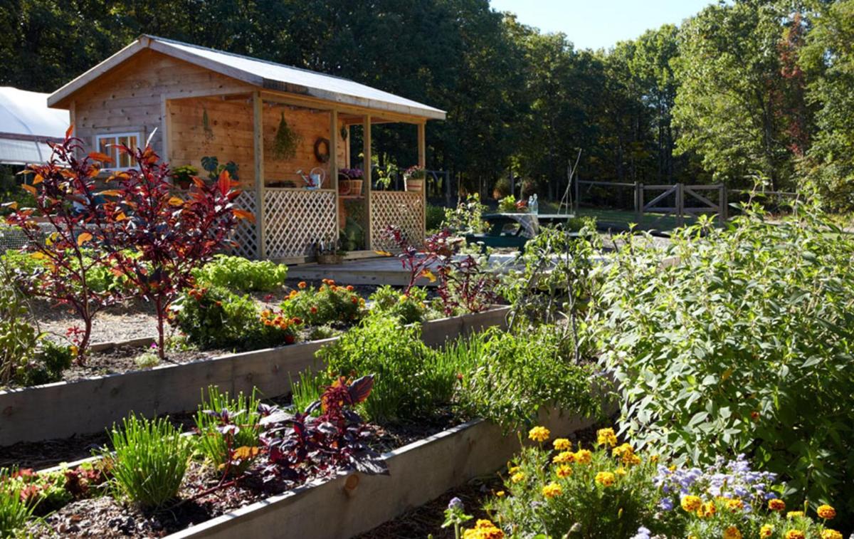 garden