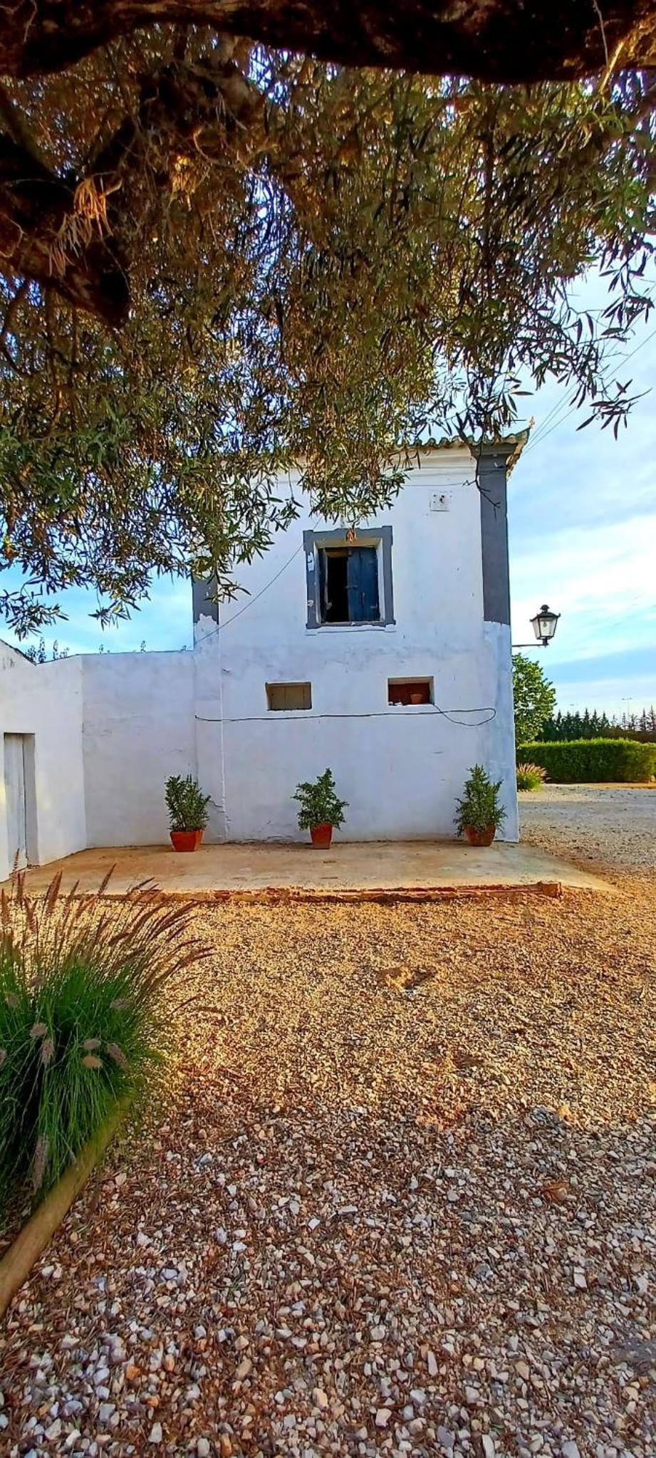 Photo 57