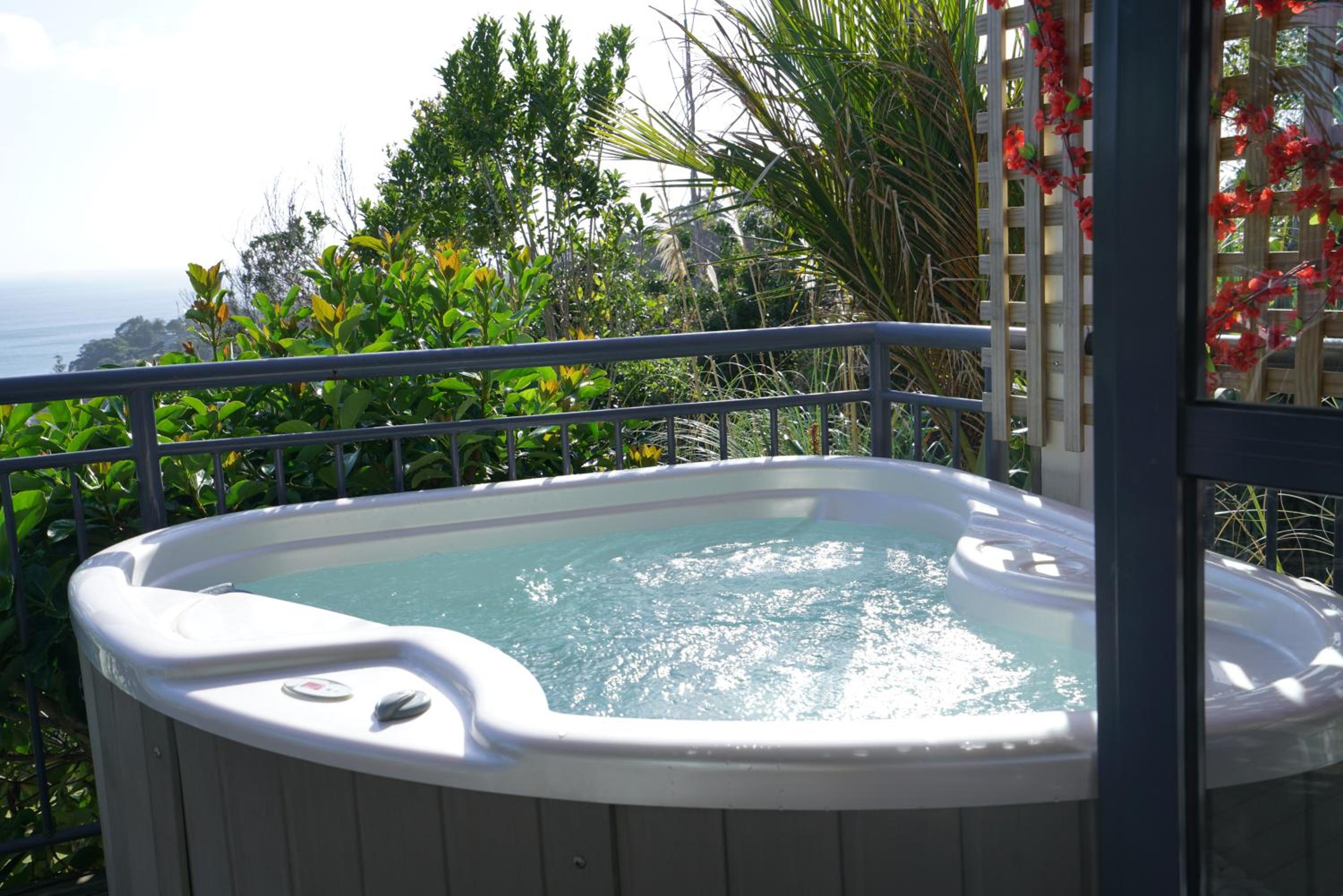 Palm Beach Perfection SPA Pool Free WIFI view 2