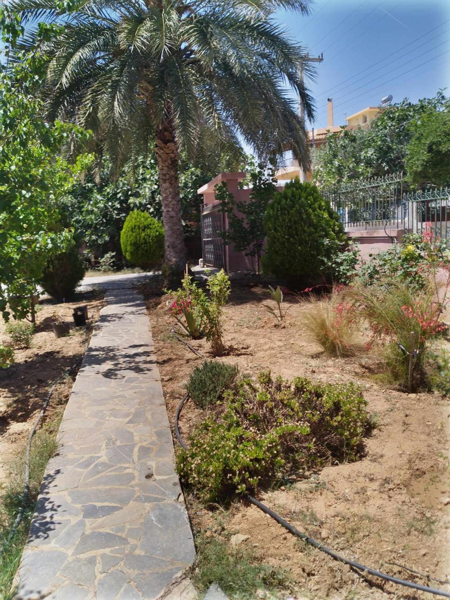 Photo 6