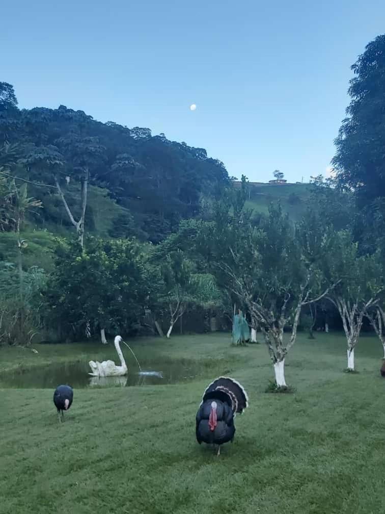 Sítio das Jaqueiras