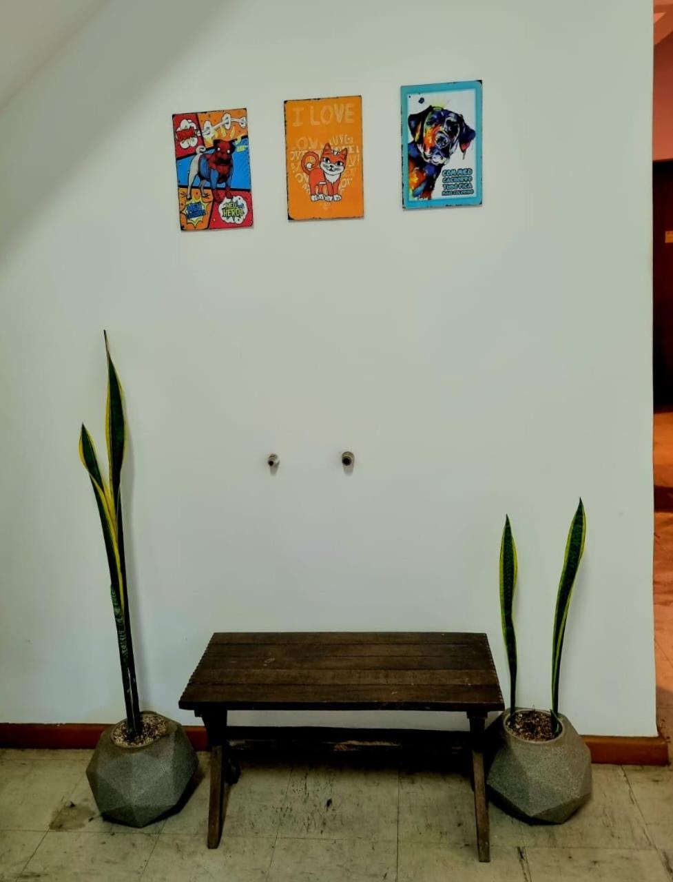 Cool Living Hostel - Praça da Liberdade view 5