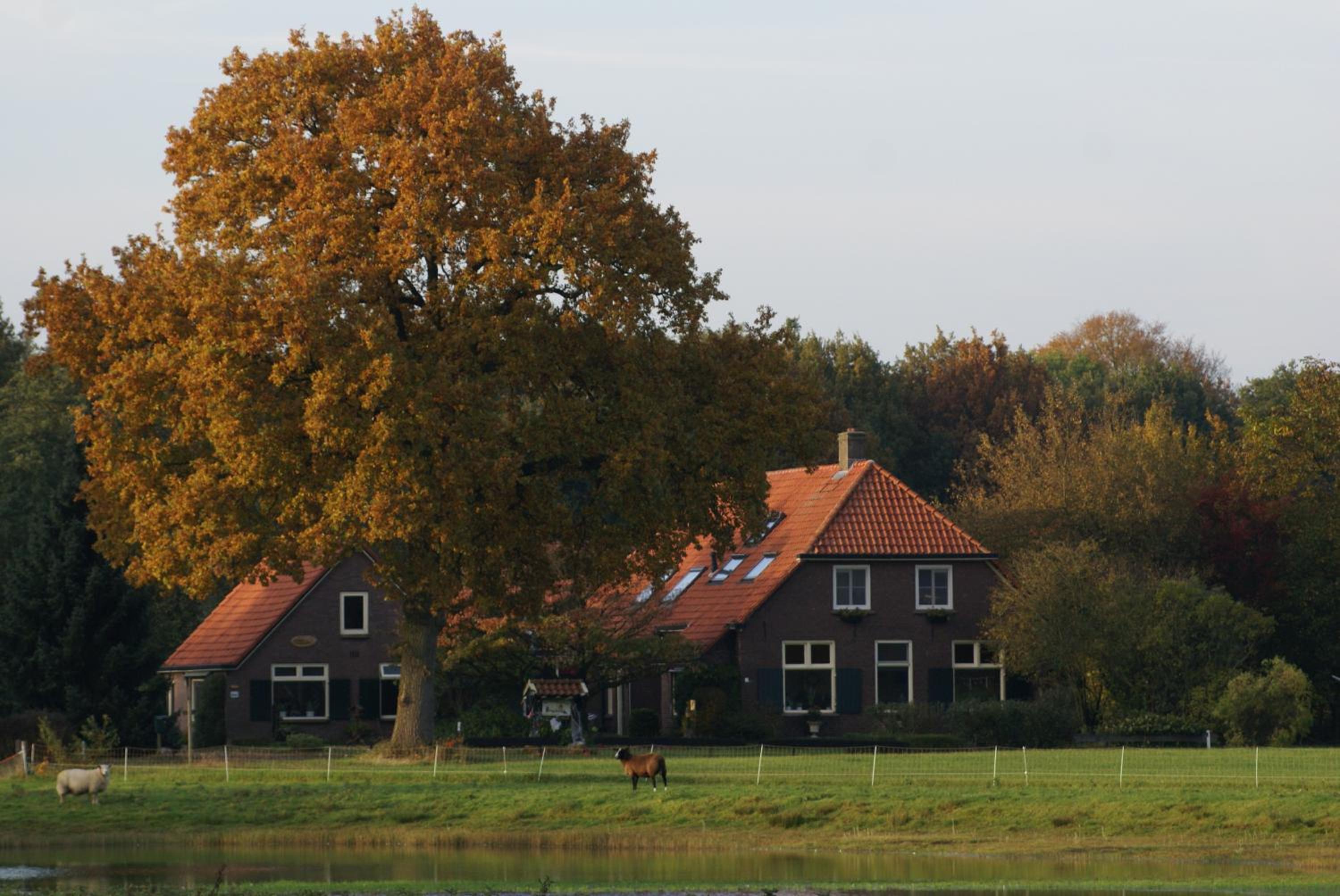 B&B Verwoldsehof 'Op de deel'