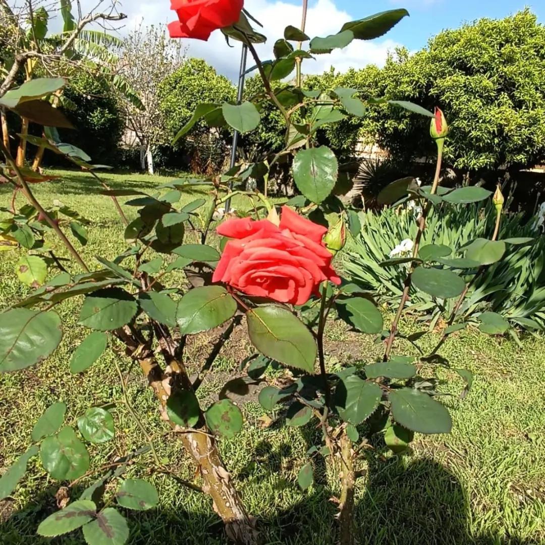 Casetta Esmeralda