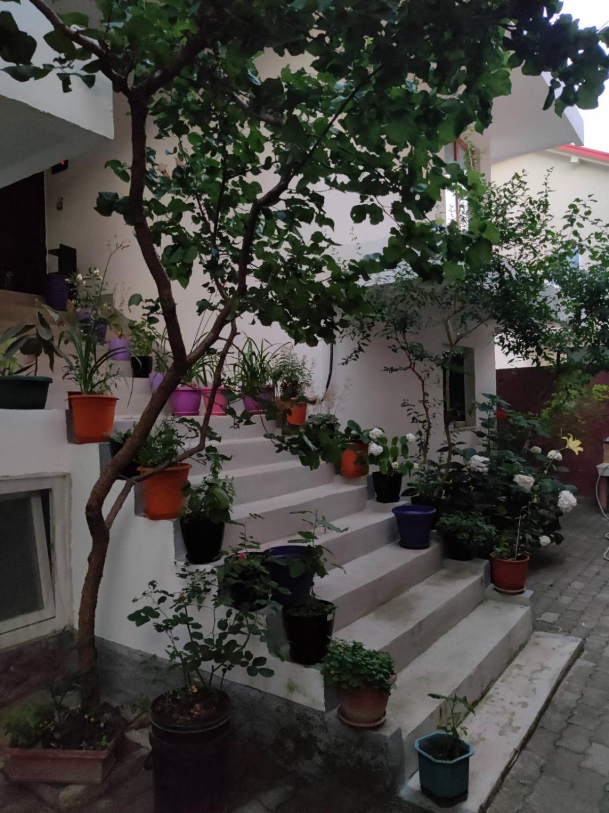 OTAM Villa