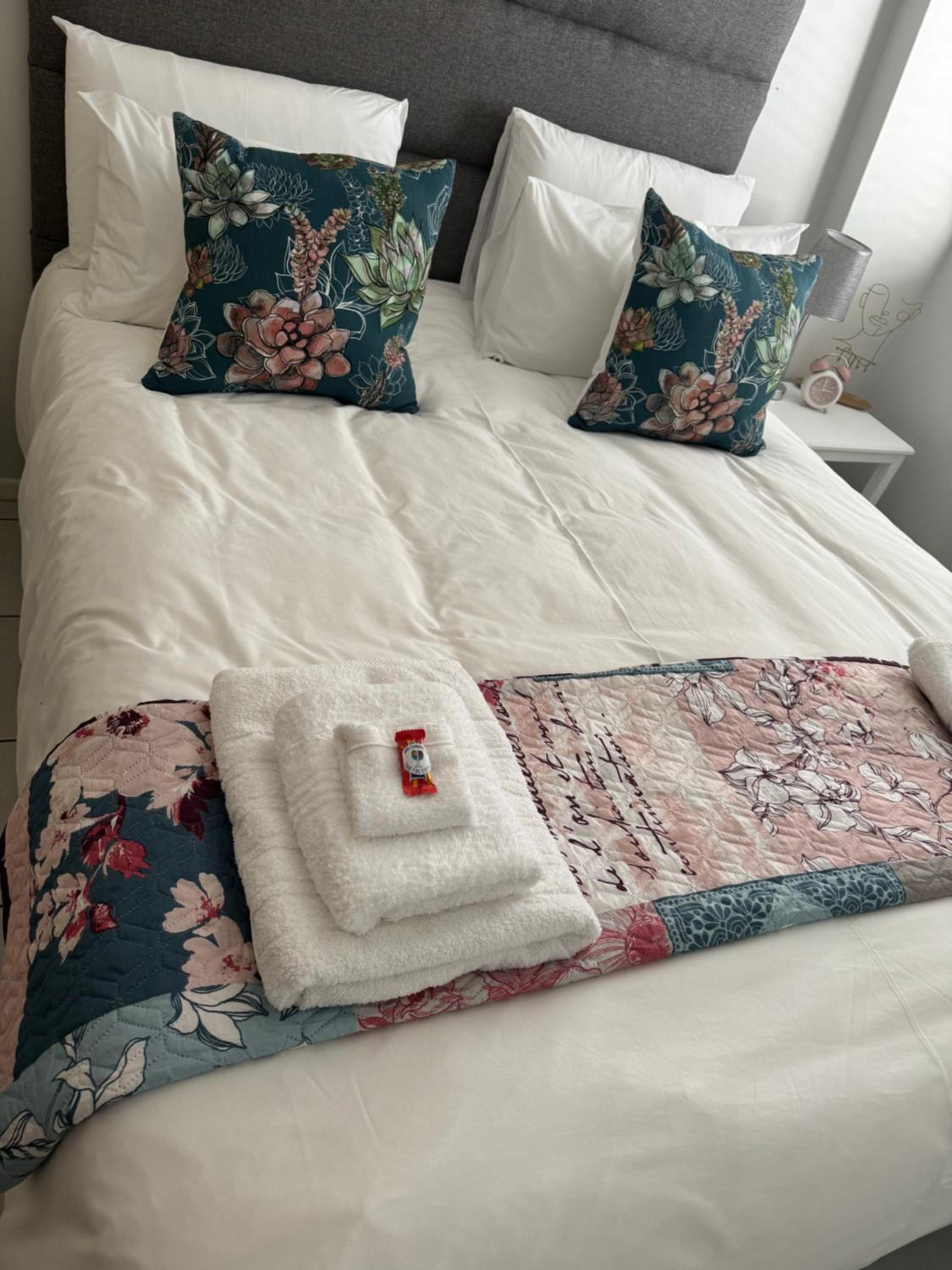 The Silhouette - Paarl - Self Catering Apartment