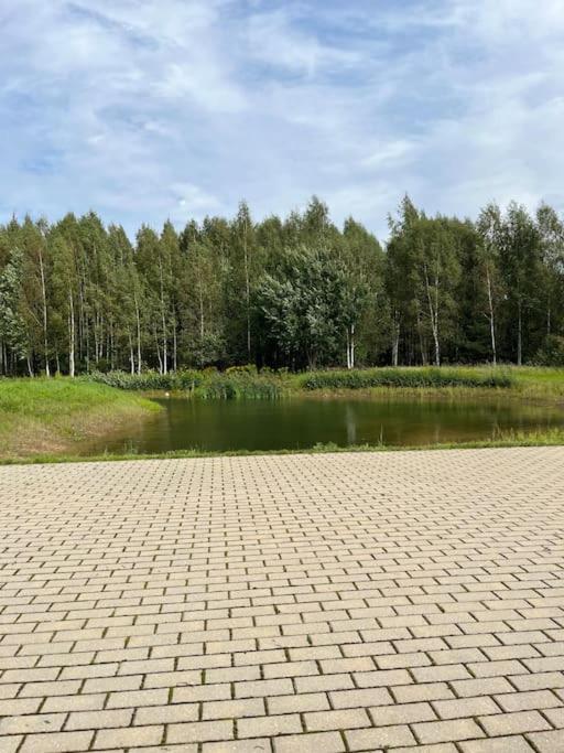 Druviņas - Peaceful Cabin by the Lake view 2
