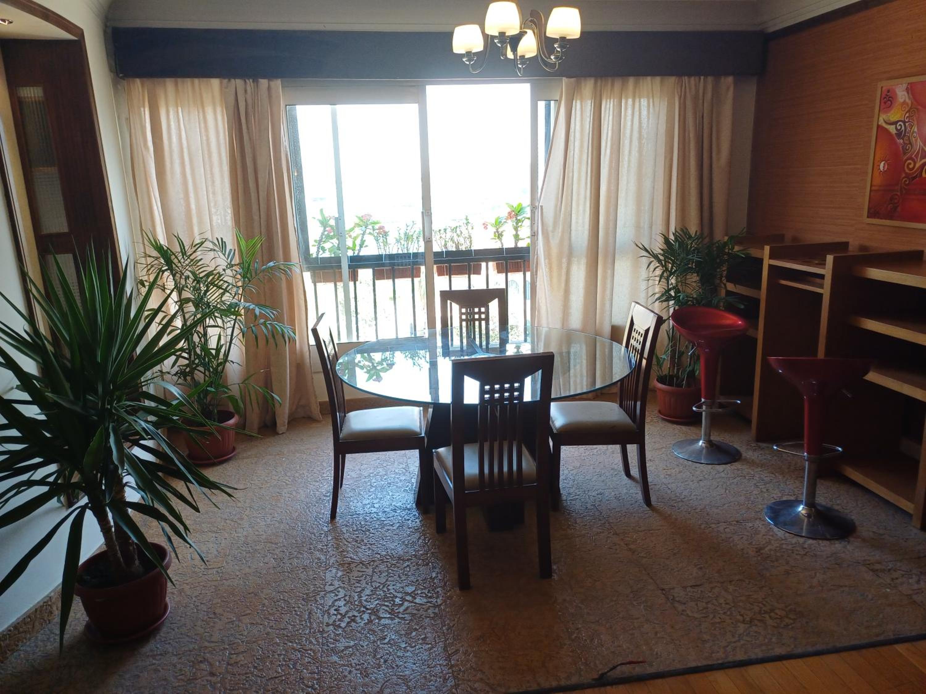 Apartment with Nile view