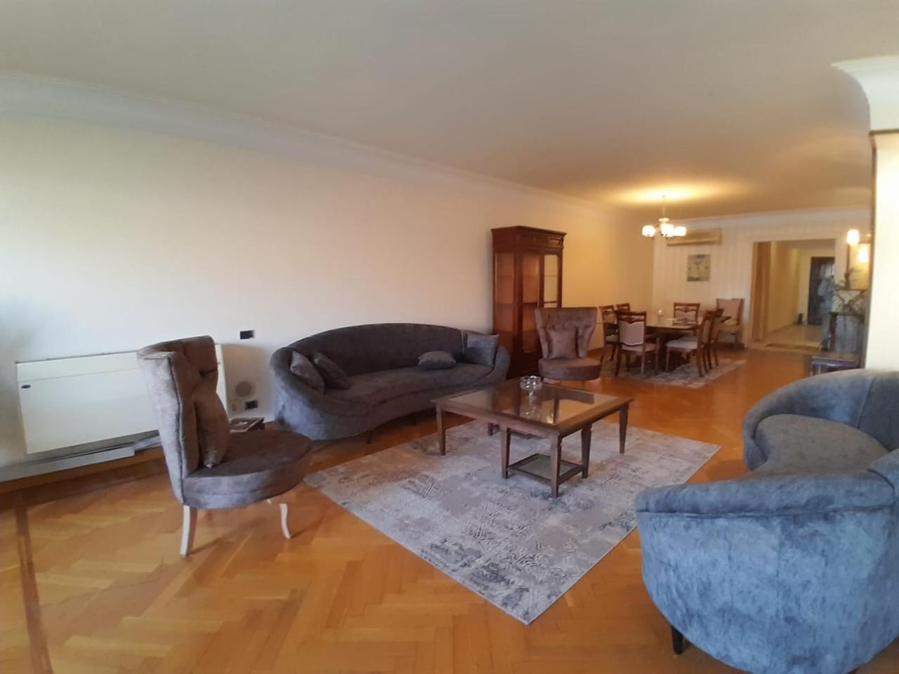 Apartment with Nile view