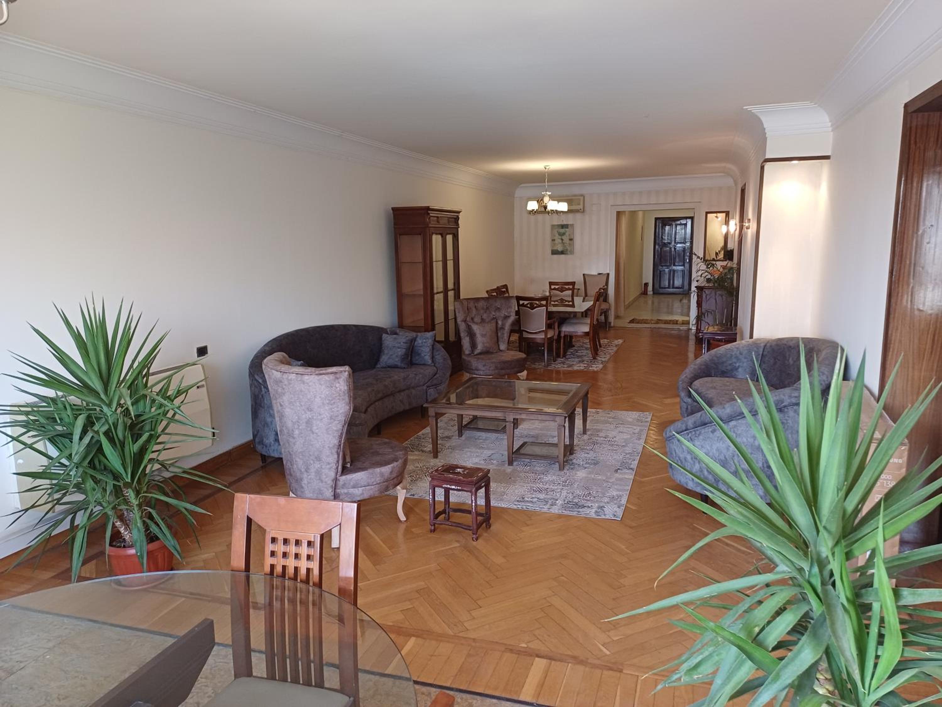 Apartment with Nile view
