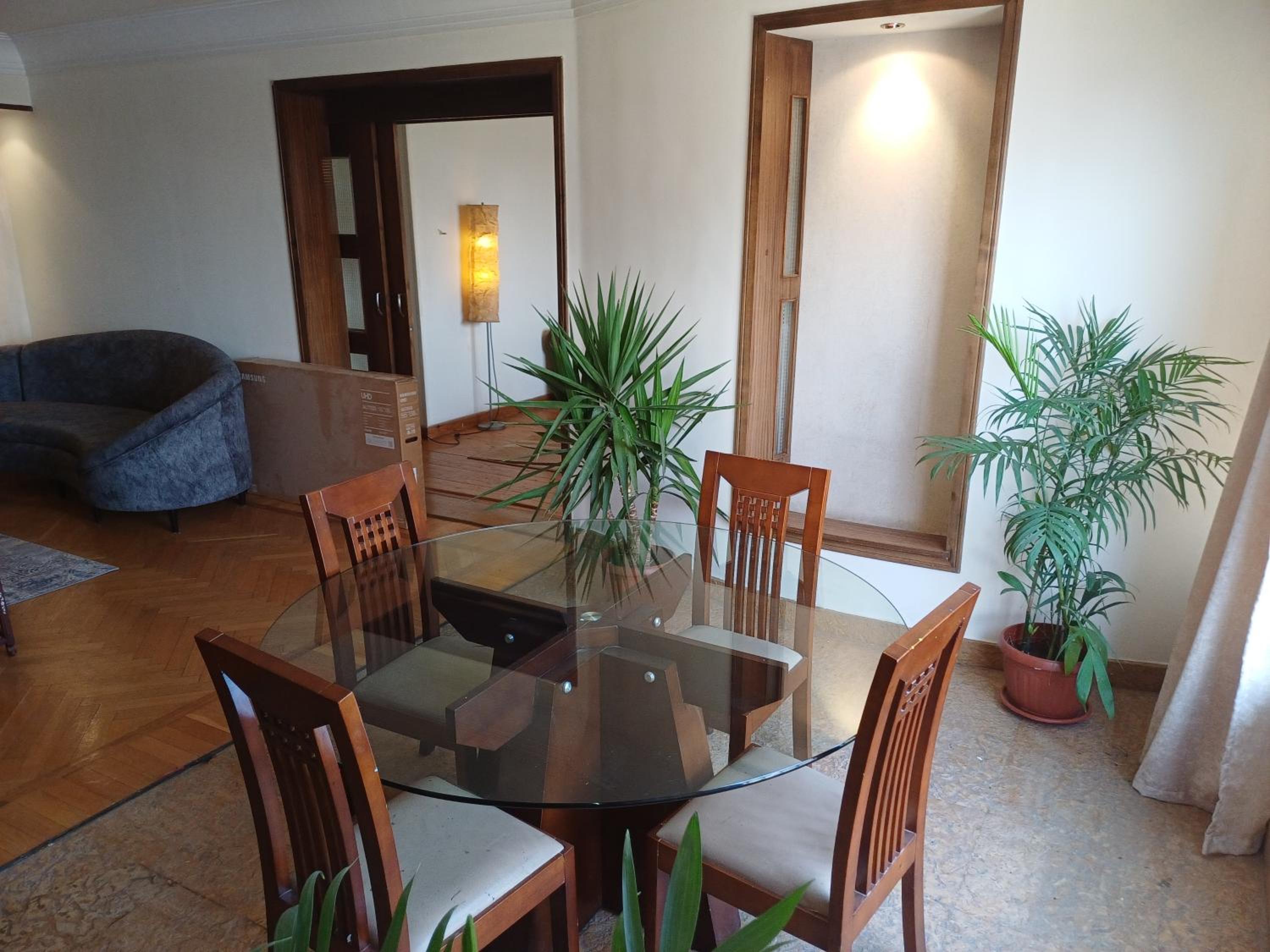 Apartment with Nile view
