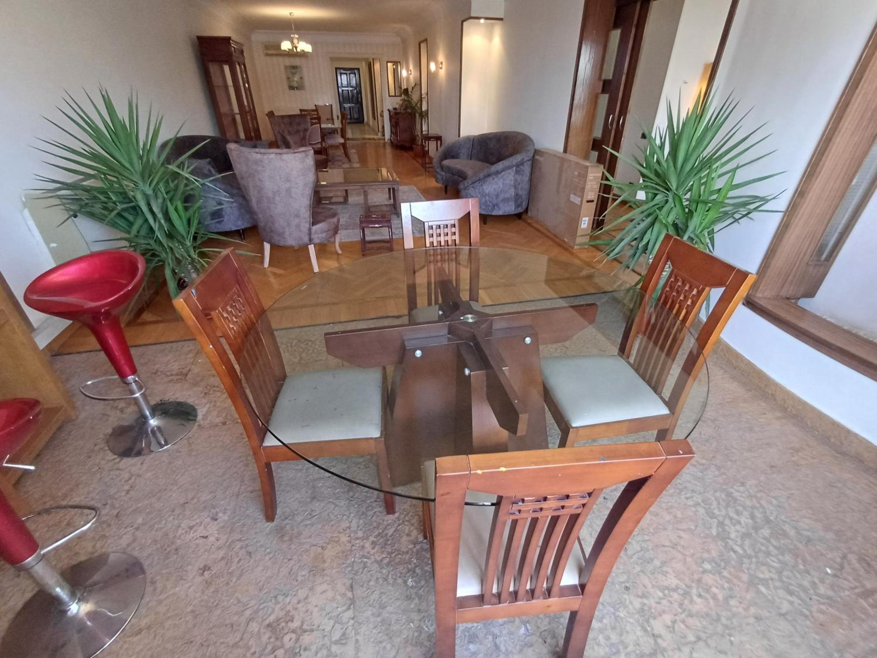 Apartment with Nile view