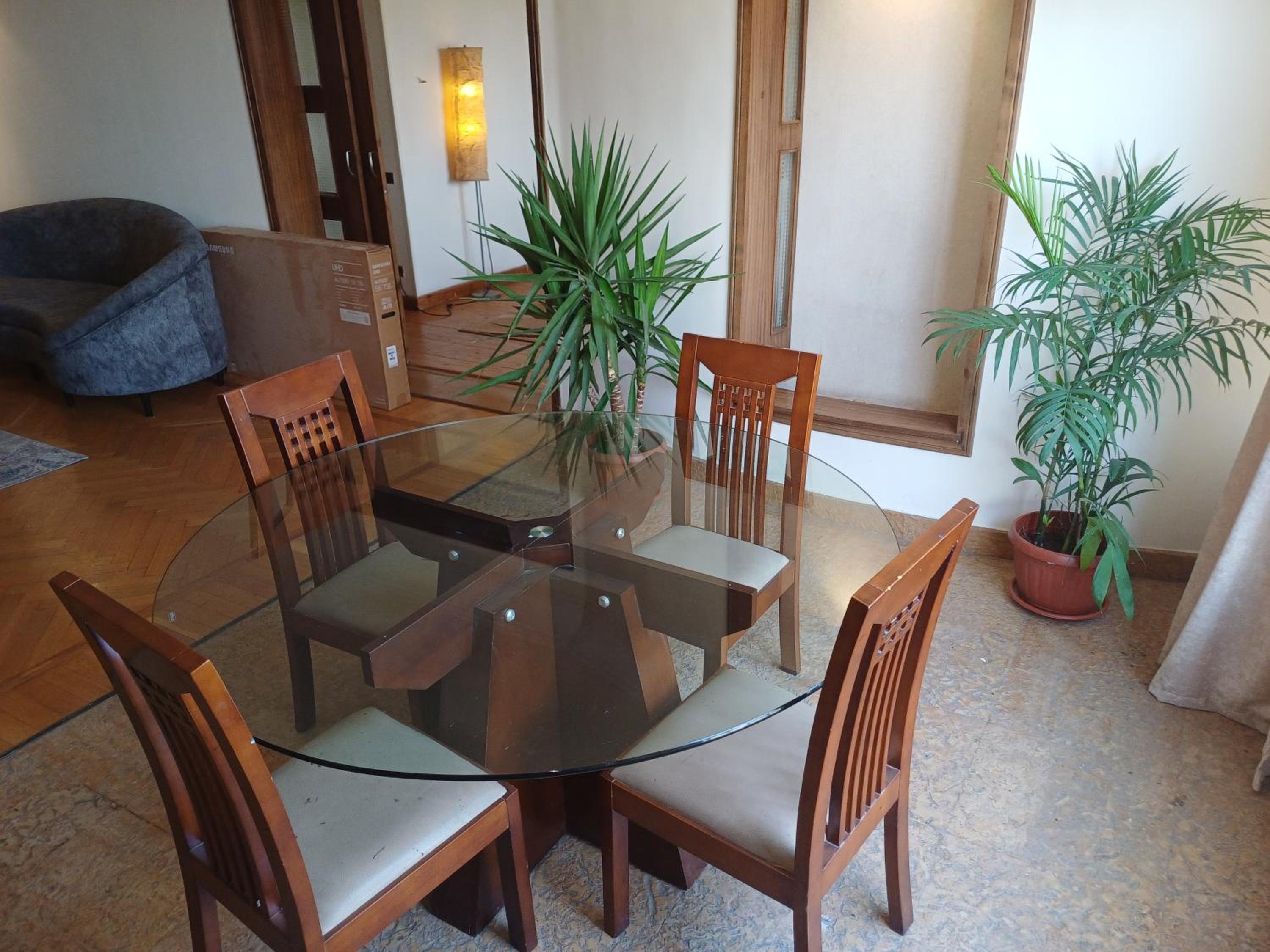 Apartment with Nile view