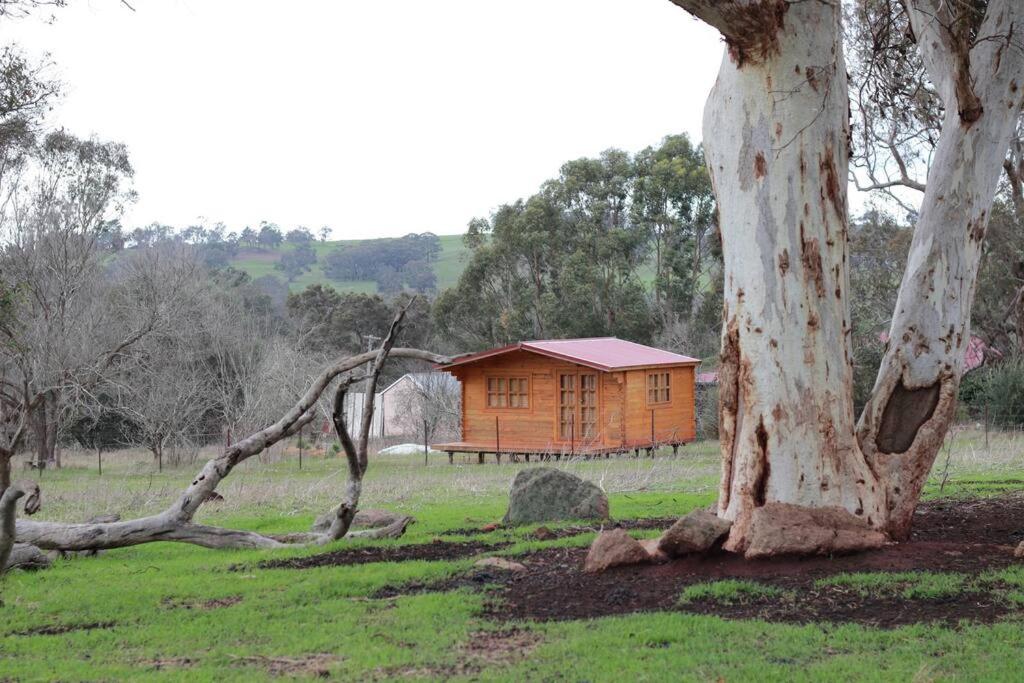 Unique Wooden Cabin for Couples - Frankland River Cabin