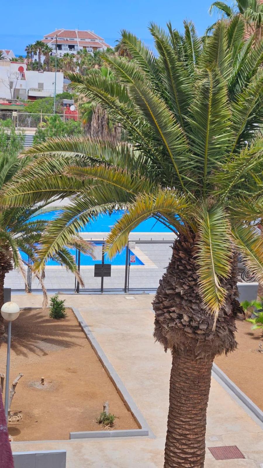 PARAISO ALTEMAR, duplex Las Americas