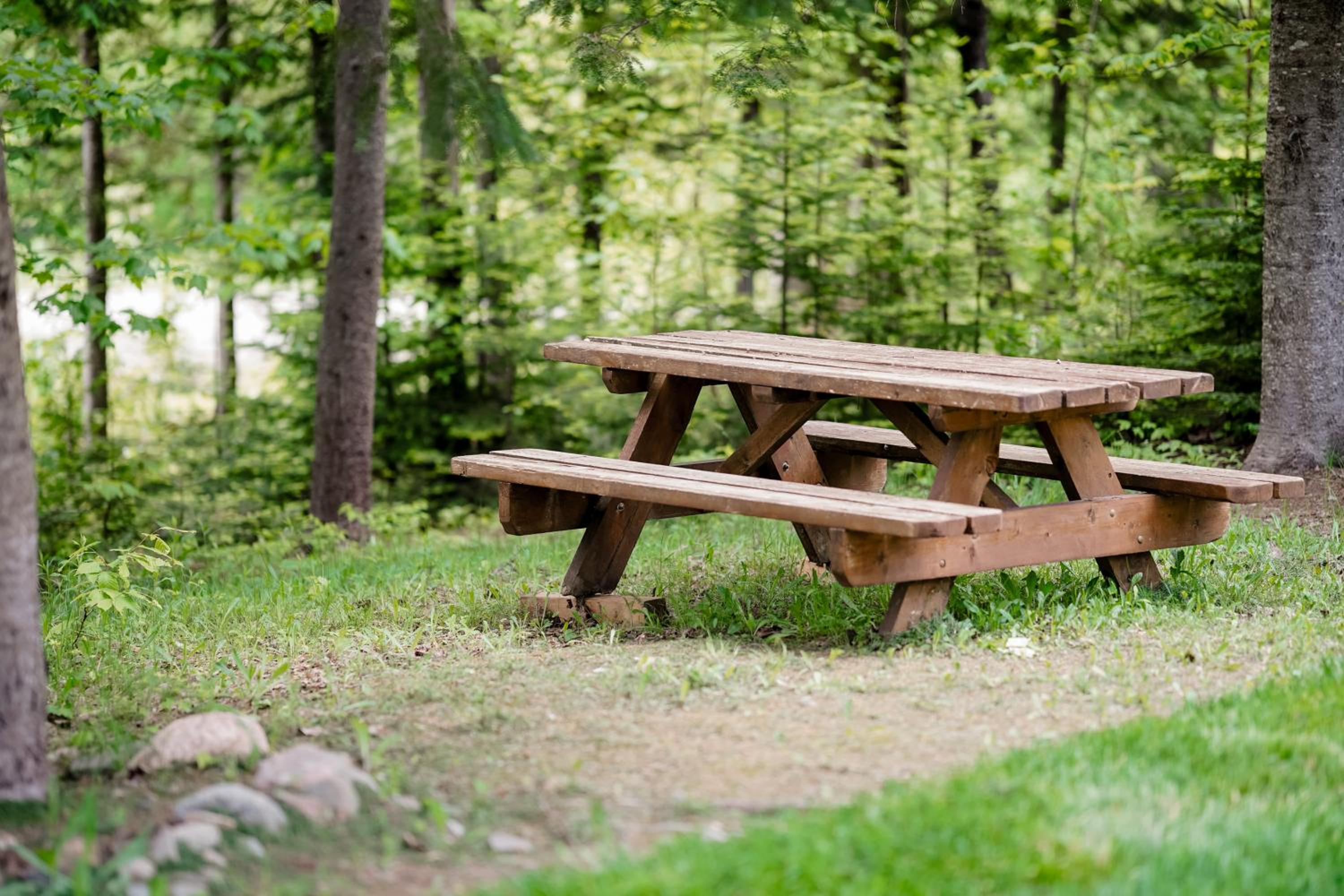 Chalet Golden Bear - Fiddler Lake