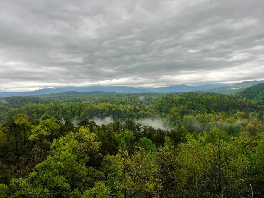 New Cabin with a Spectacular view pet friendly view 5