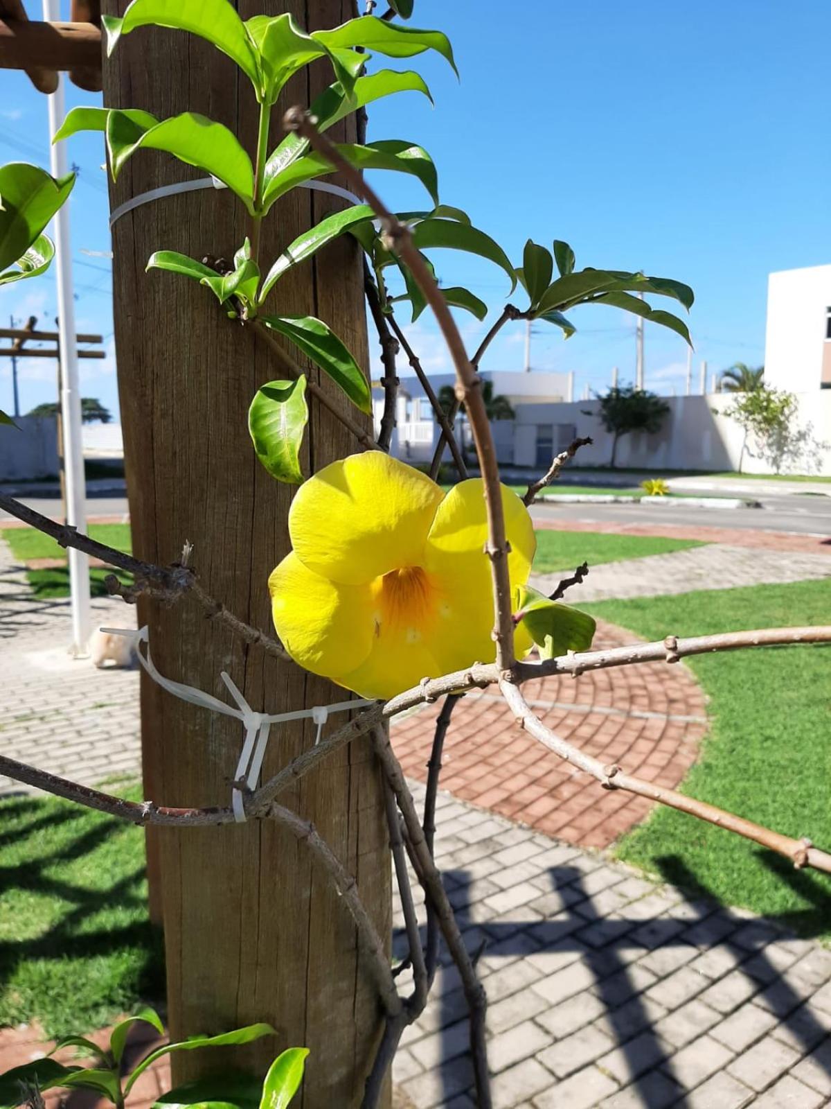 Apê Vumbora Pra Praia, todo climatizado, a 200 m da praia