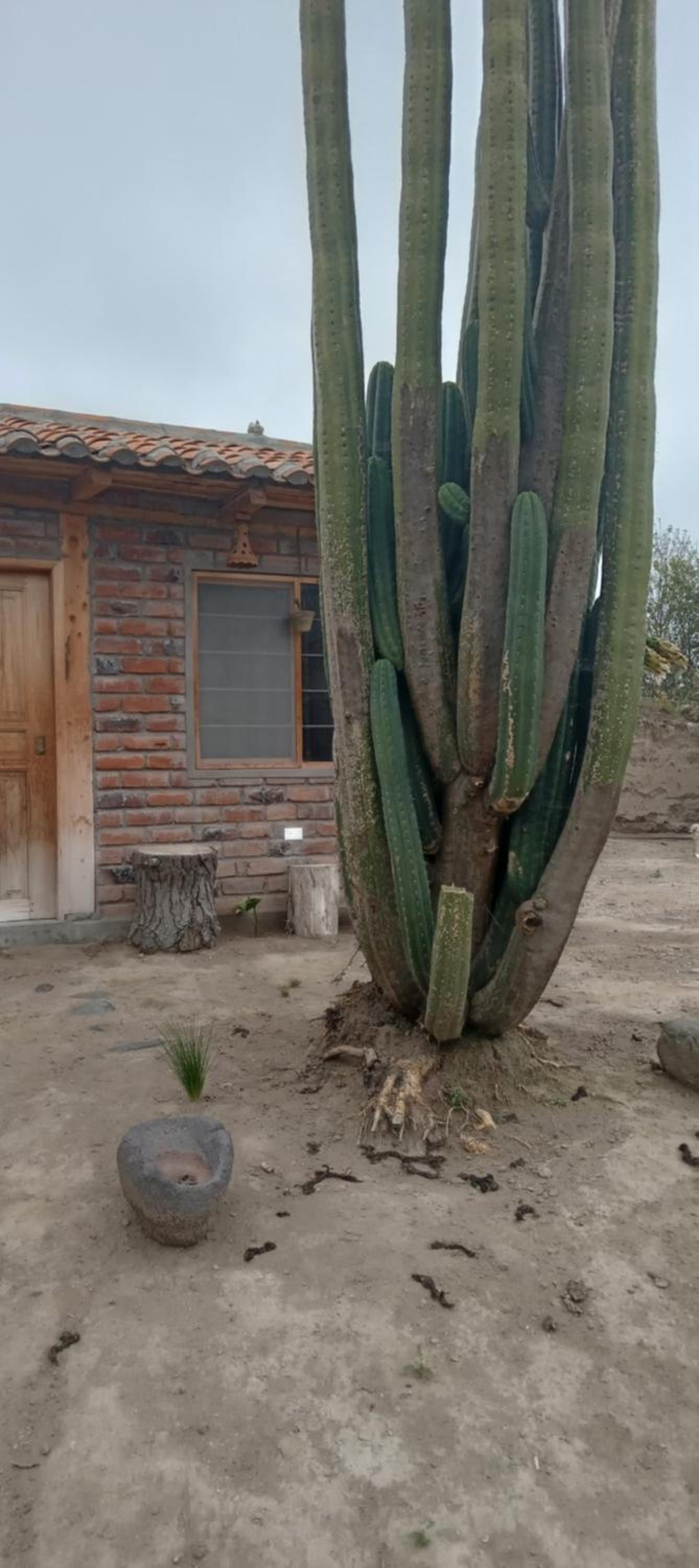 Rancho Las Tunas