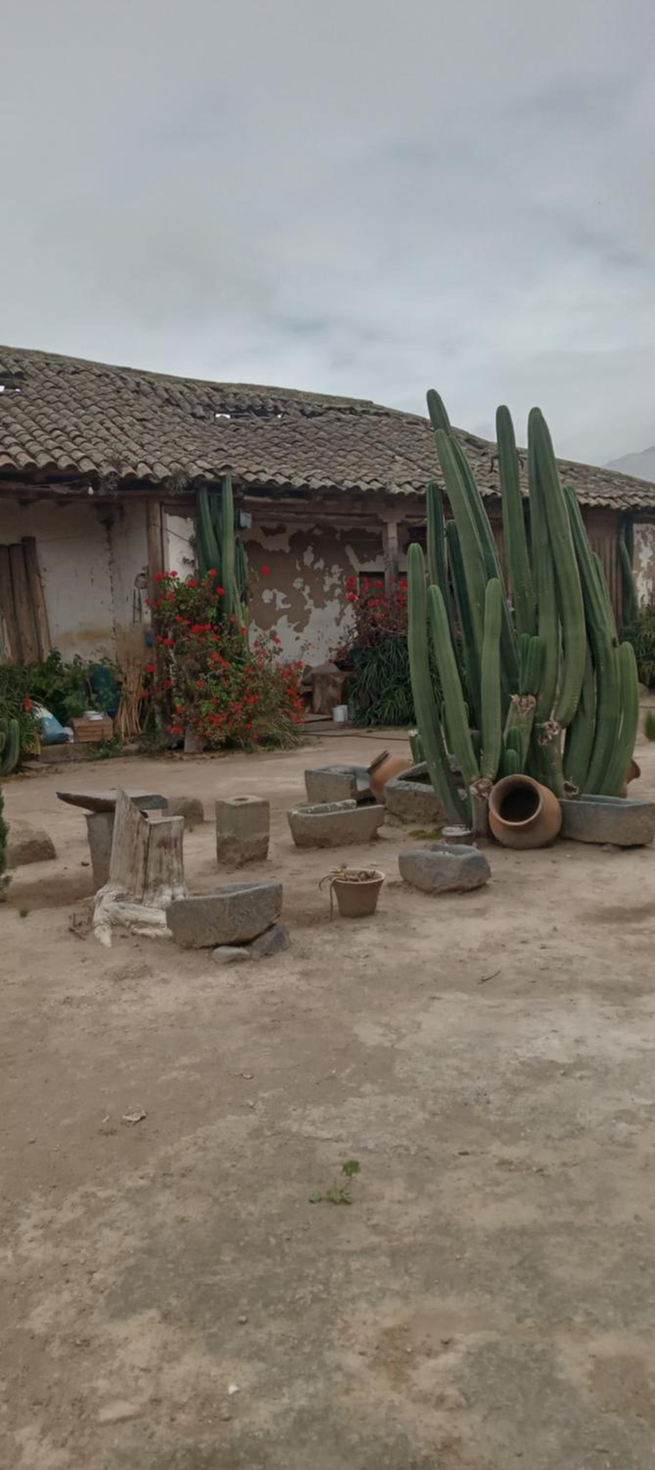 Rancho Las Tunas