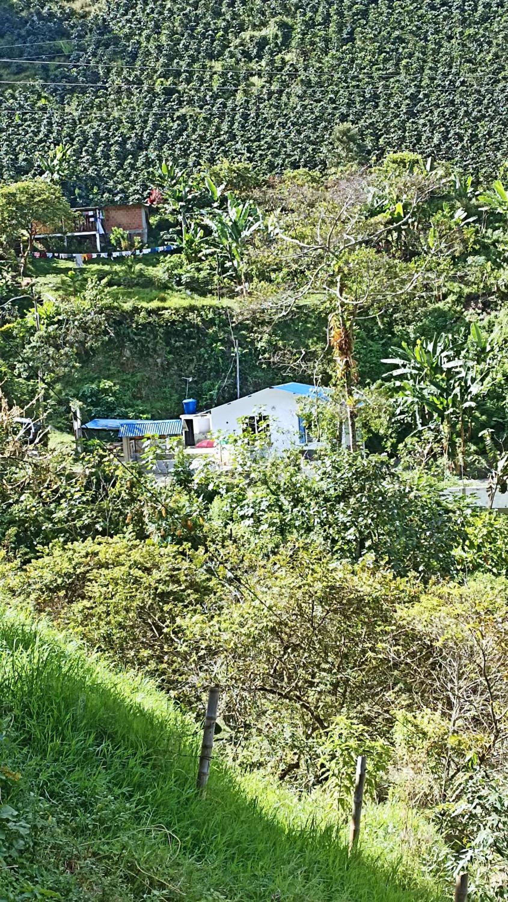 Cabaña Mi Chelita