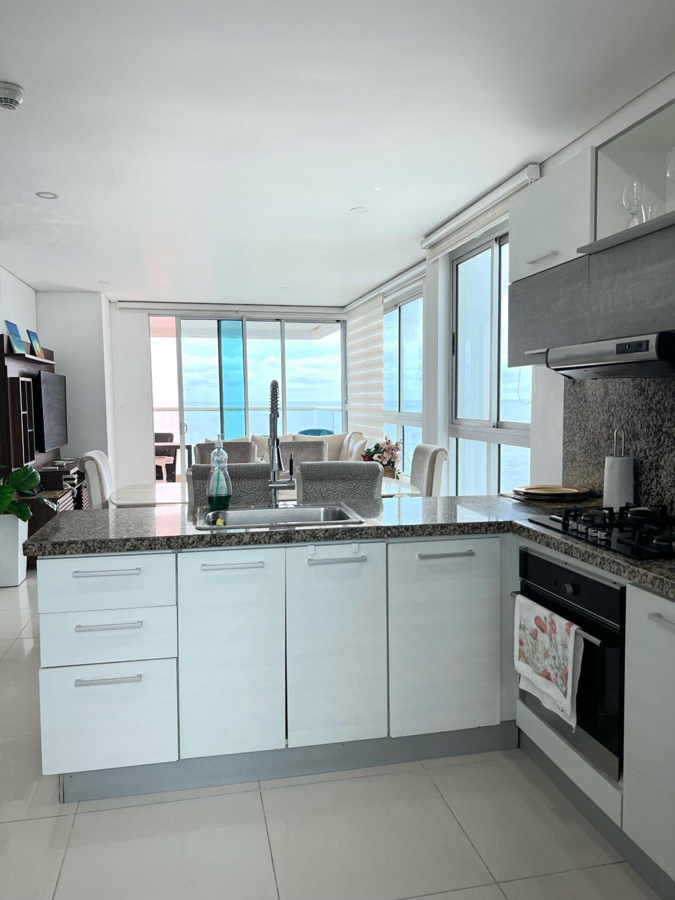 Beachfront Luxurious Apartment, Palmetto Beach