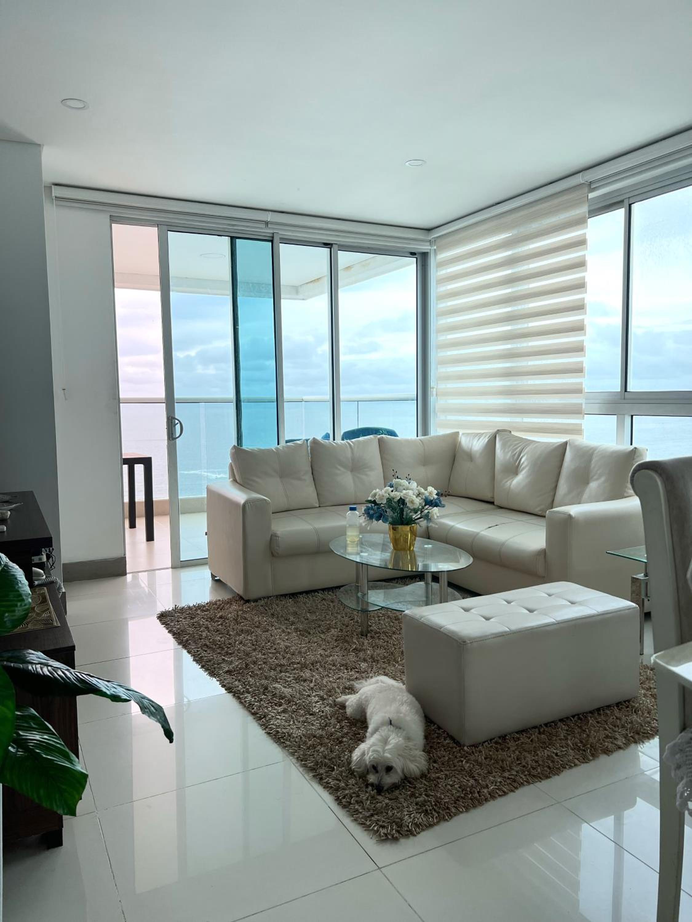 Beachfront Luxurious Apartment, Palmetto Beach