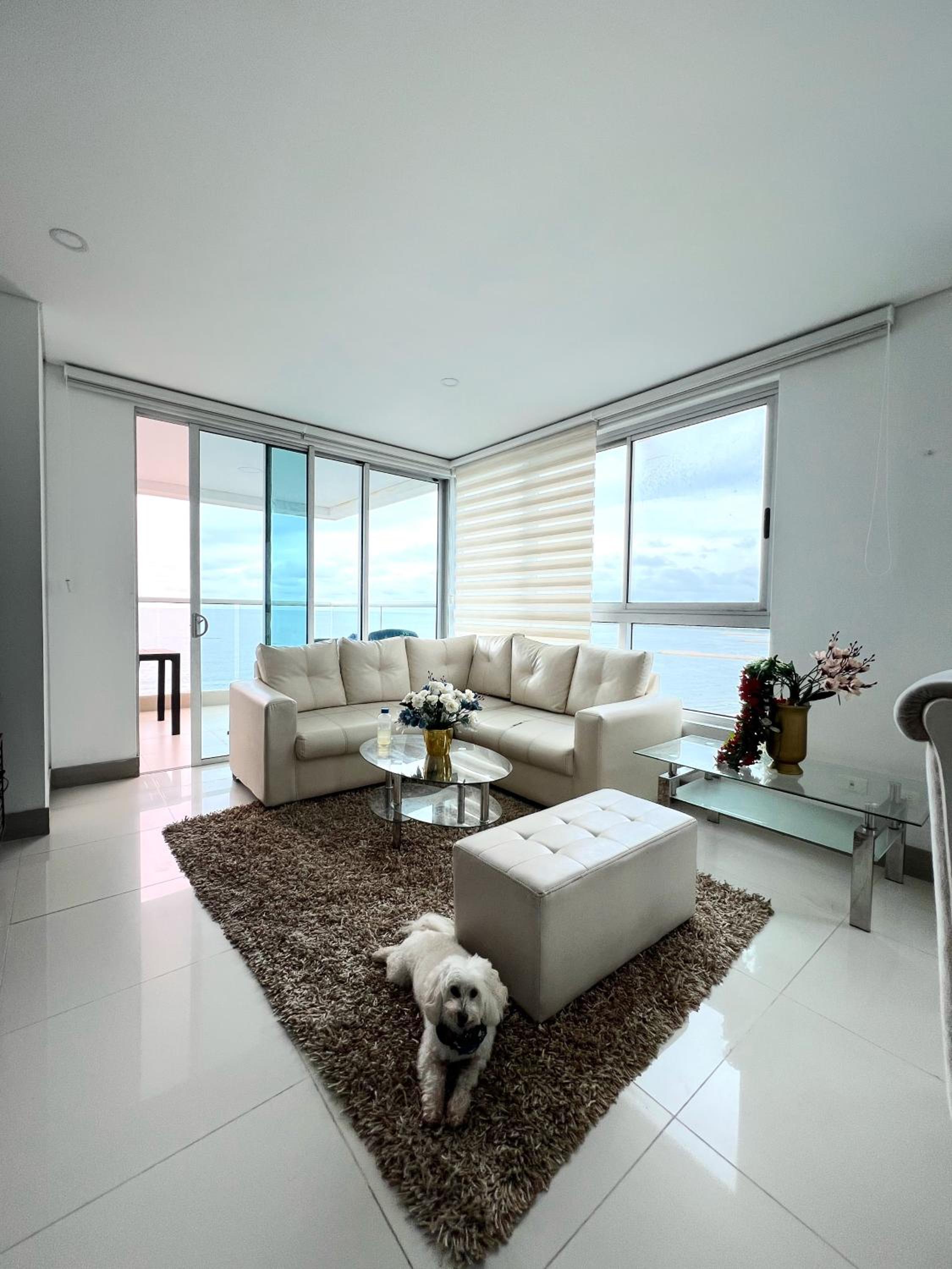 Beachfront Luxurious Apartment, Palmetto Beach