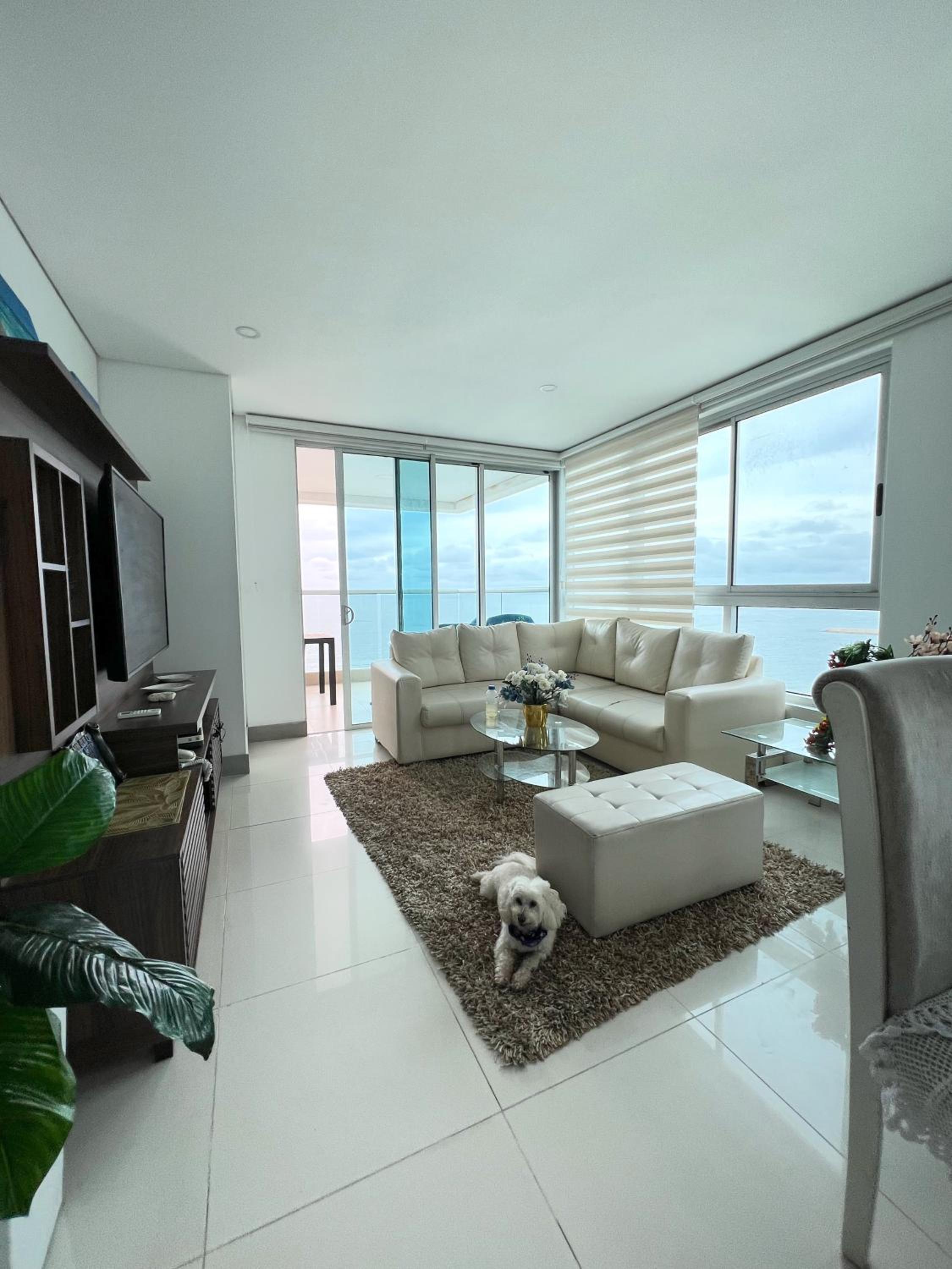 Beachfront Luxurious Apartment, Palmetto Beach
