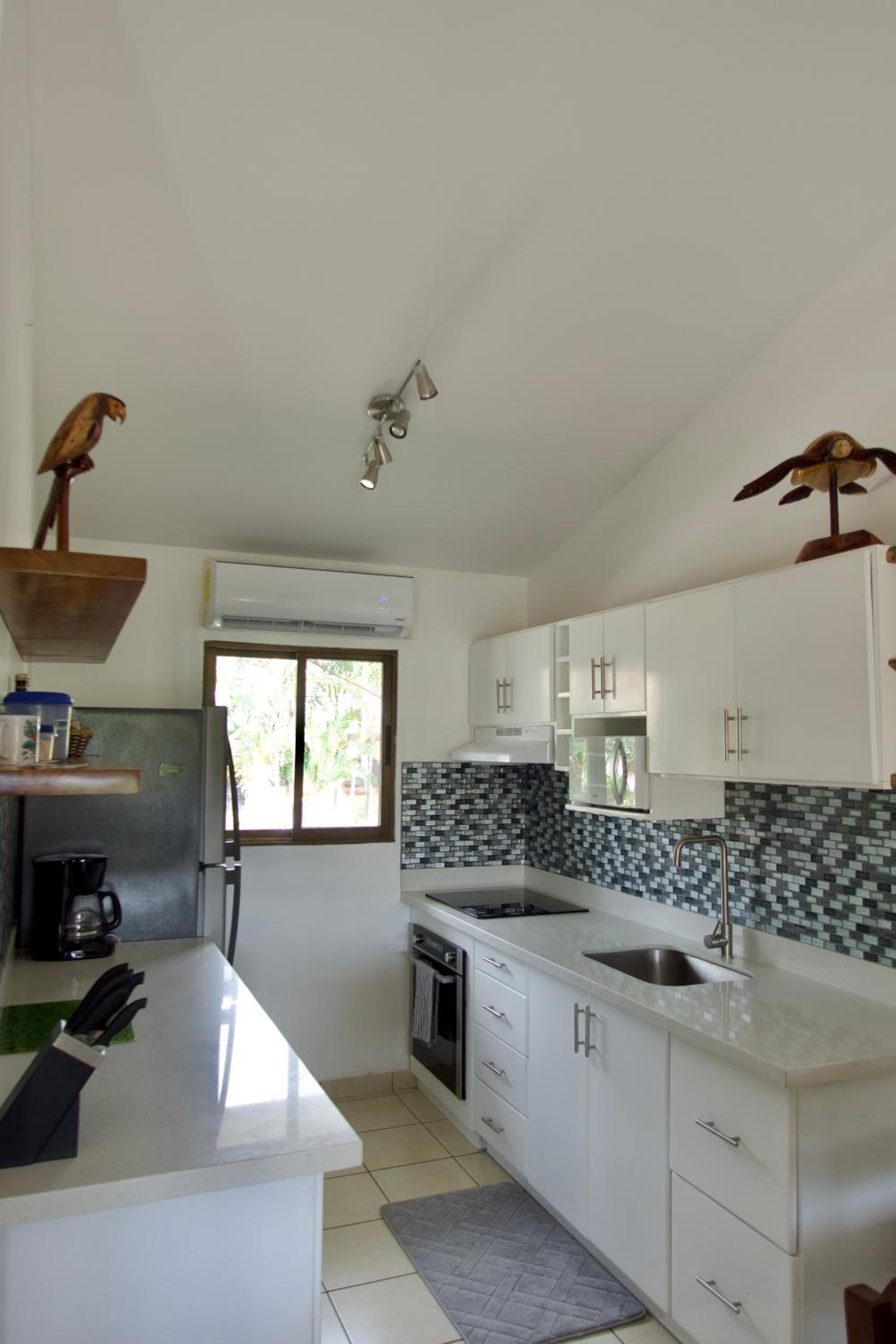 Coral Reef Condo