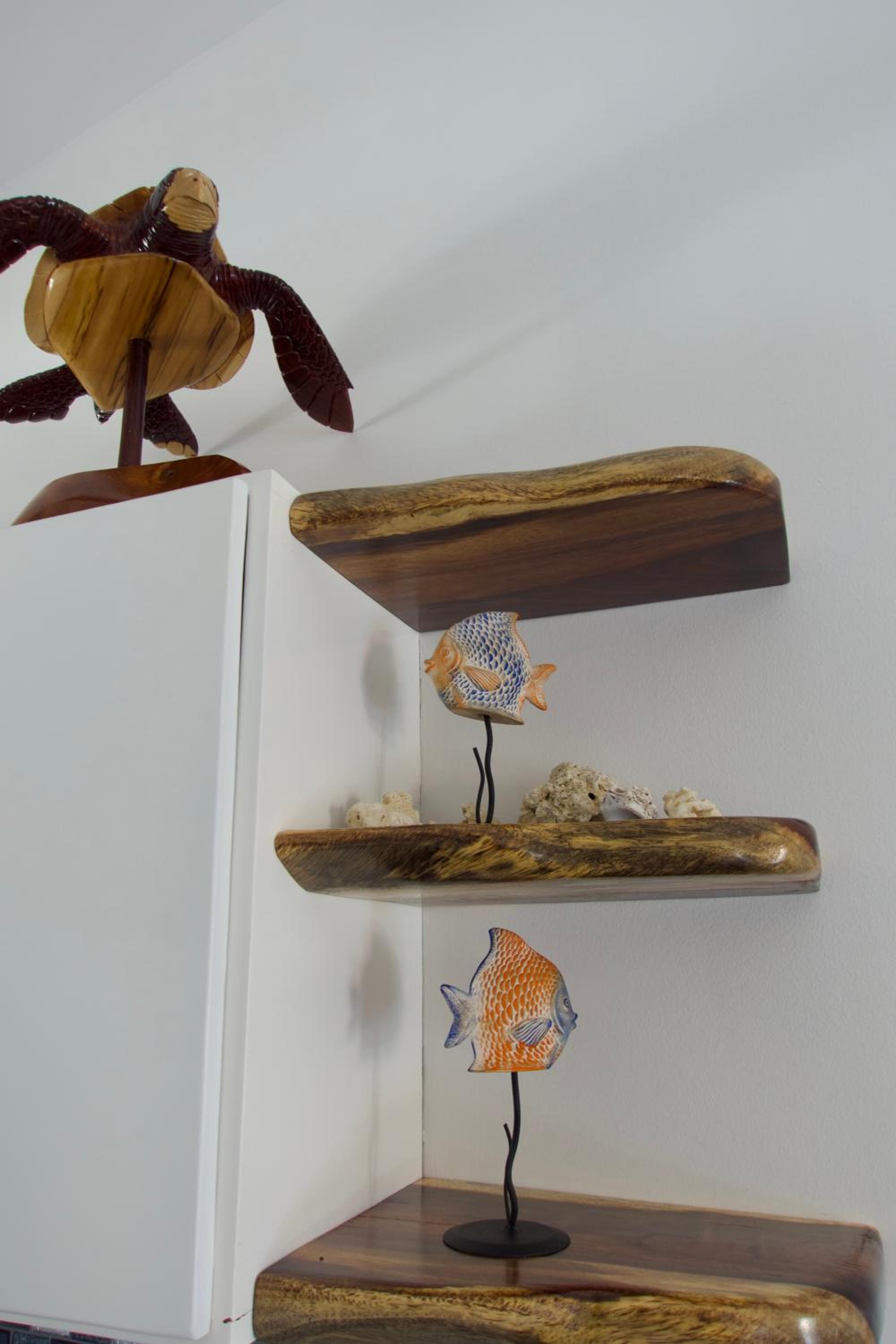 Coral Reef Condo