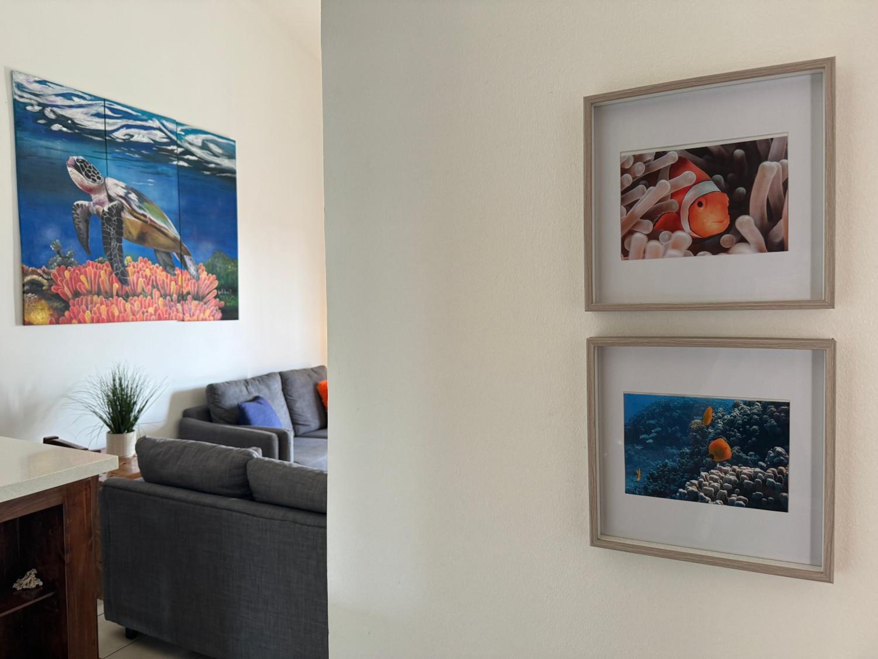 Coral Reef Condo