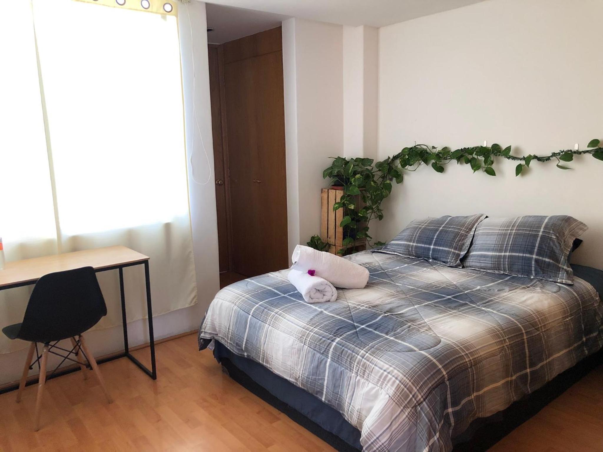 Private room in Roma Norte photo 2